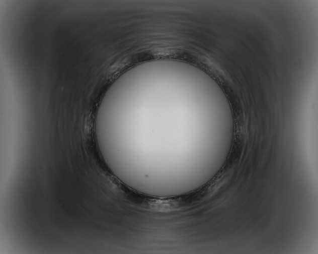 X0000083530277200703021601