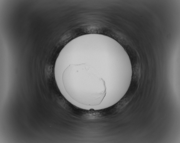 X0000083530278200703021601