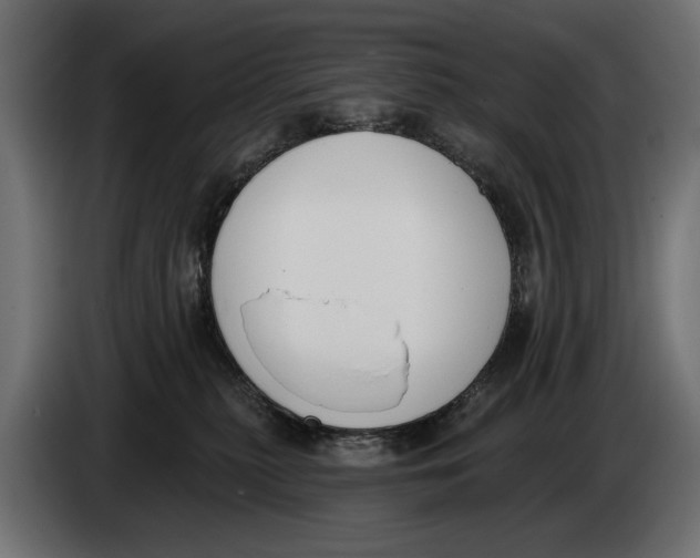 X0000083530279200703021601