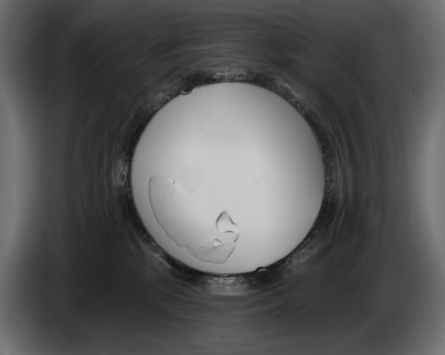 X0000083530281200703021601