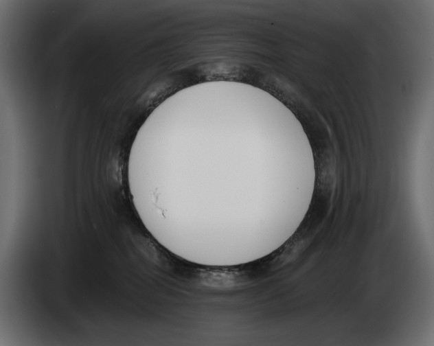 X0000083530282200703021601