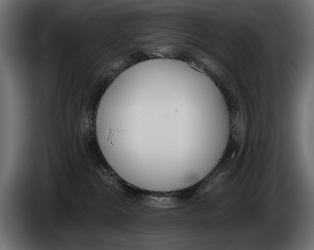 X0000083530284200703021601