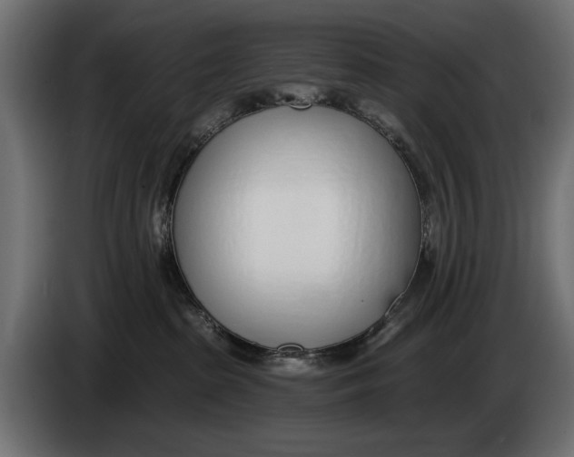 X0000083530285200703021601