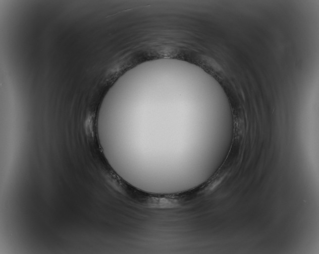 X0000083530286200703021601