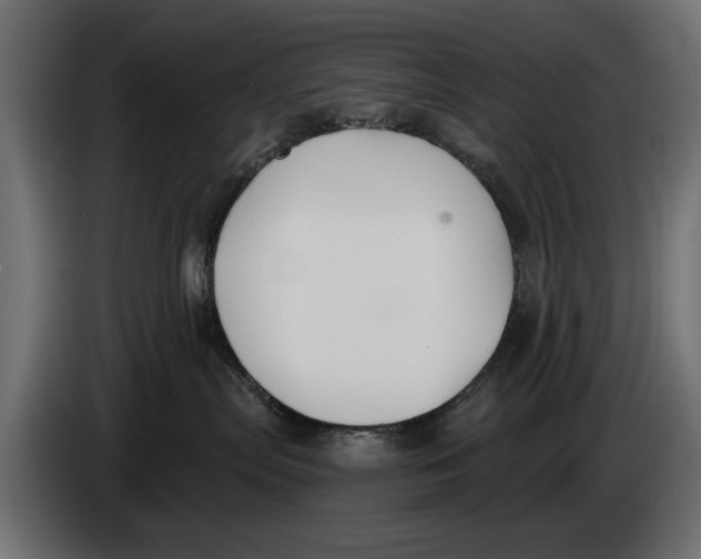 X0000083530287200703021601