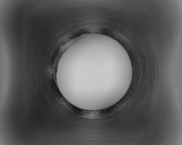 X0000083530288200703021601