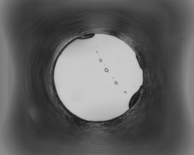 X0000083530289200703021600