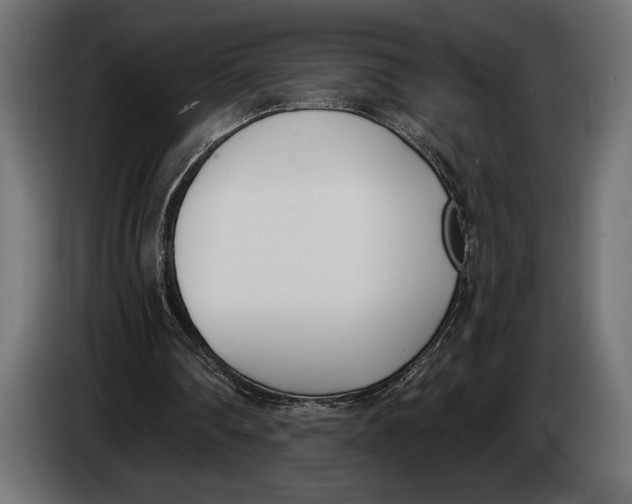 X0000083530290200703021600