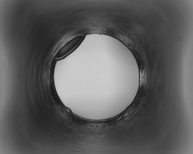 X0000083530291200703021600