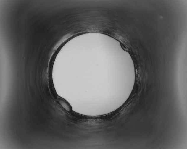 X0000083530292200703021600