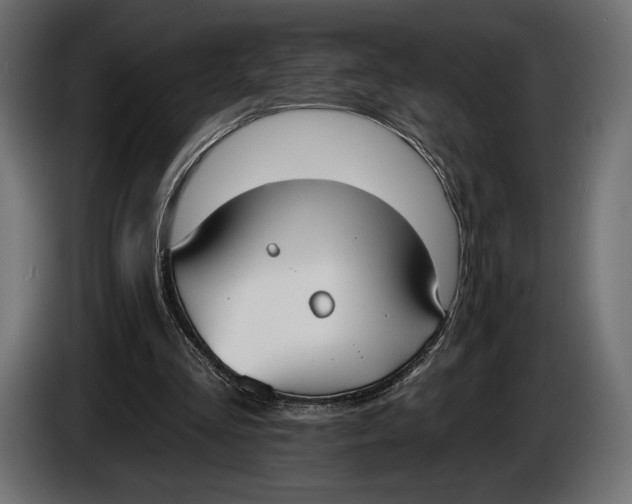 X0000083530293200703021600