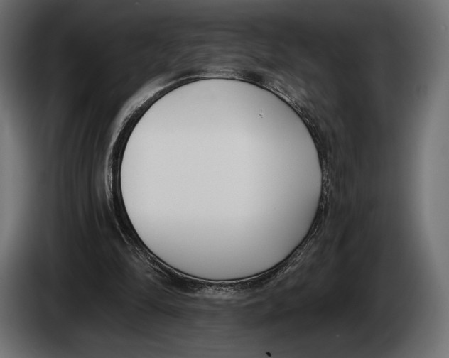 X0000083530294200703021600