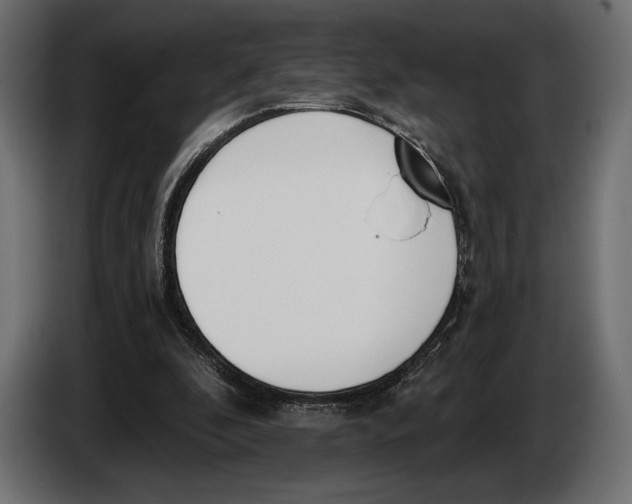 X0000083530296200703021600