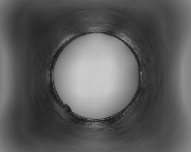 X0000083530297200703021600