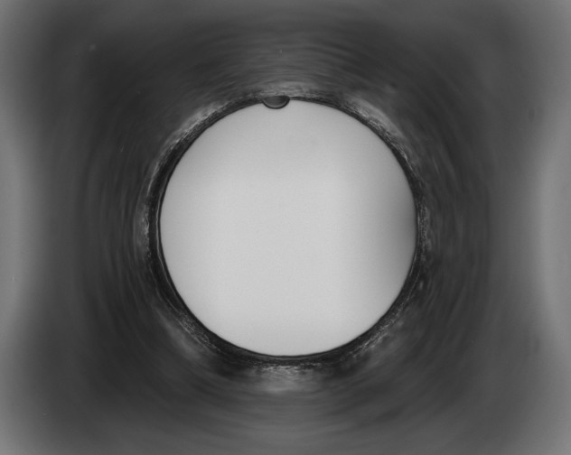 X0000083530298200703021600