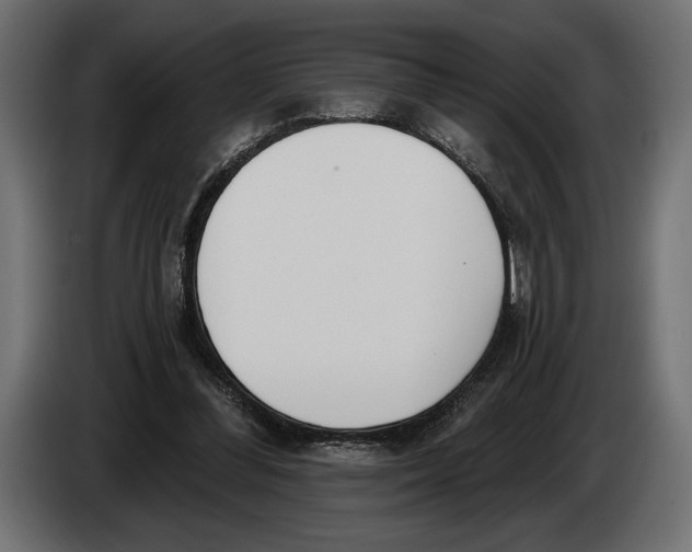 X0000083530300200703021600