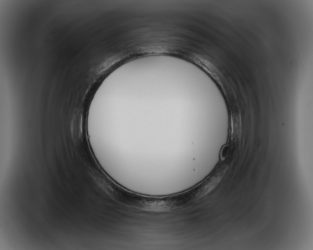 X0000083530301200703021600