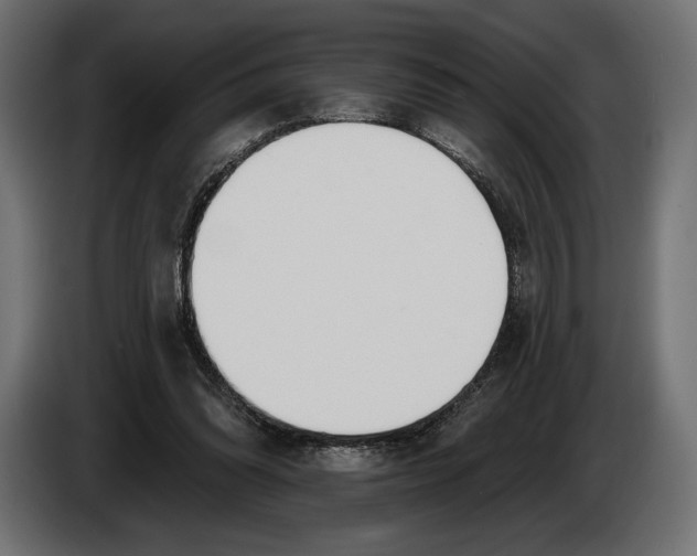 X0000083530302200703021600