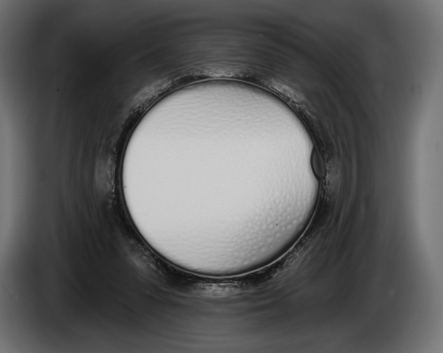 X0000083530303200703021600