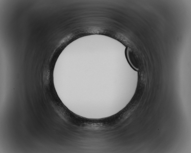 X0000083530304200703021600