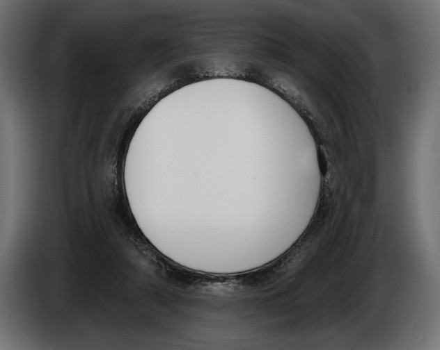 X0000083530306200703021600