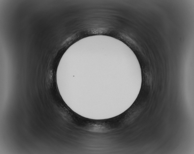 X0000083530308200703021600