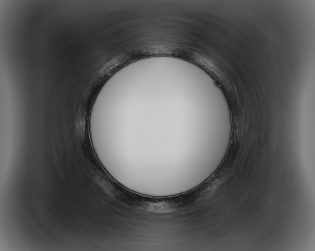 X0000083530309200703021600