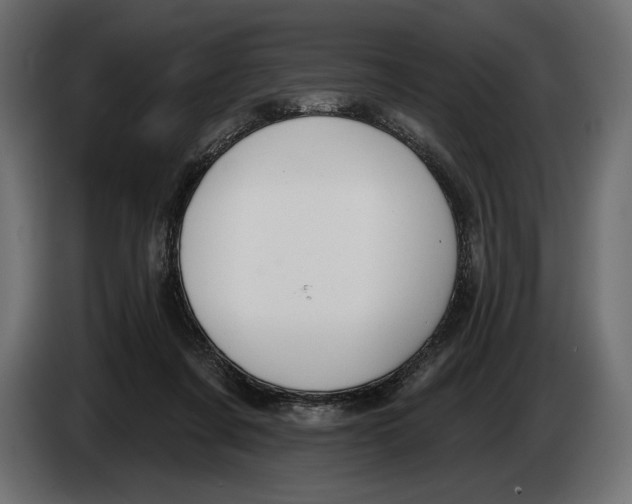 X0000083530311200703021559