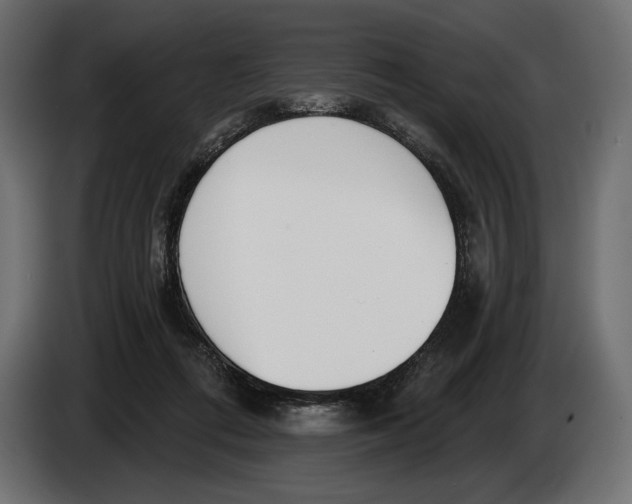 X0000083530312200703021559