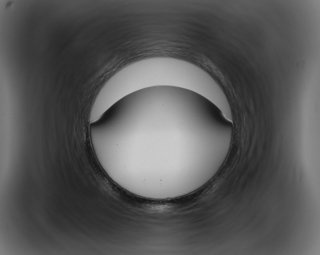 X0000083530313200703021559