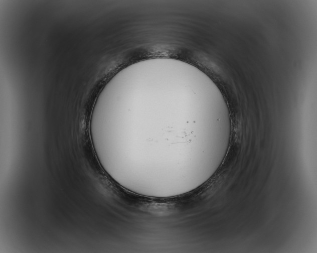 X0000083530314200703021559