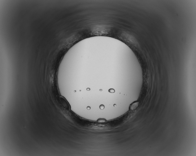 X0000083530315200703021559