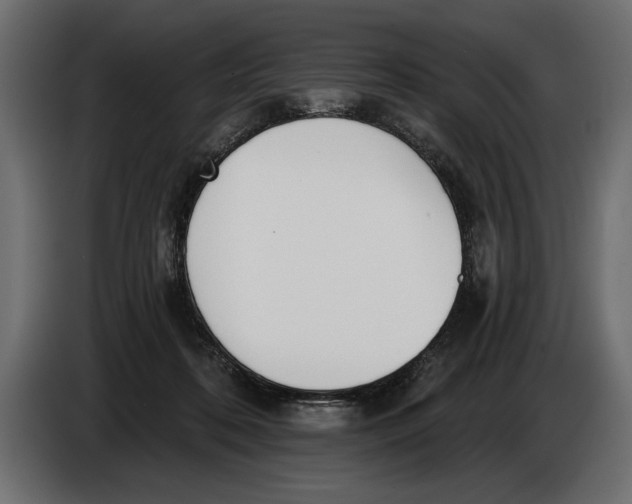 X0000083530316200703021559