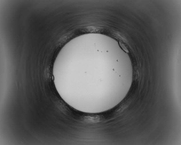 X0000083530317200703021559