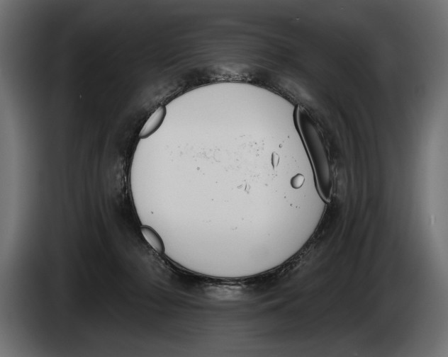 X0000083530318200703021559