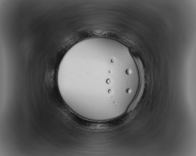 X0000083530319200703021559