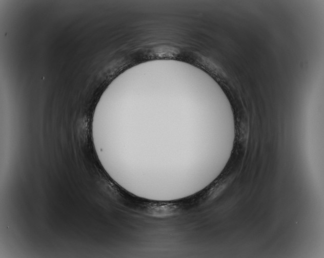 X0000083530321200703021559