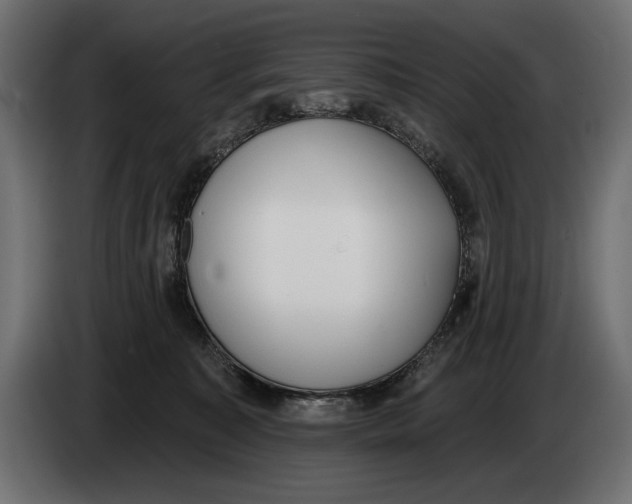 X0000083530323200703021559