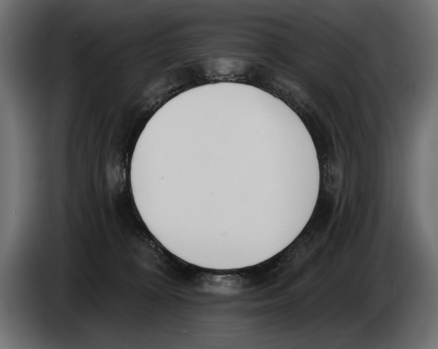 X0000083530324200703021559