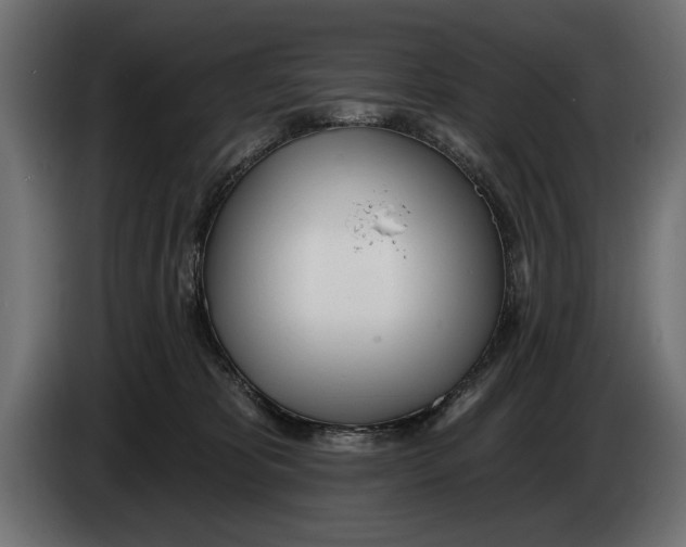 X0000083530325200703021559