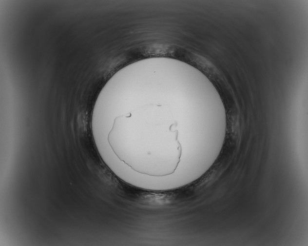 X0000083530326200703021559