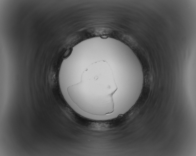 X0000083530327200703021559