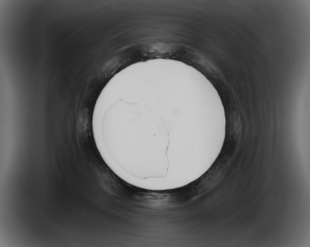 X0000083530328200703021559