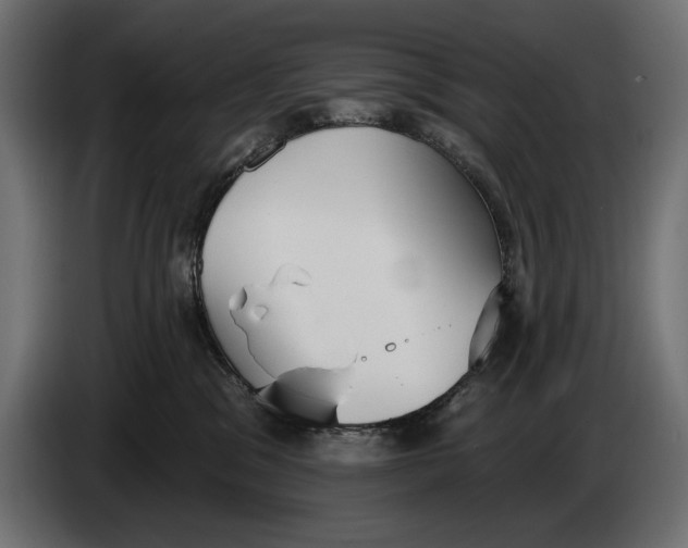 X0000083530329200703021559