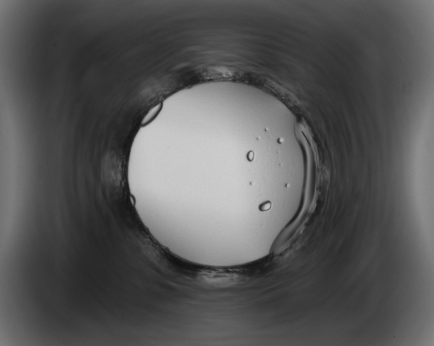 X0000083530331200703021559