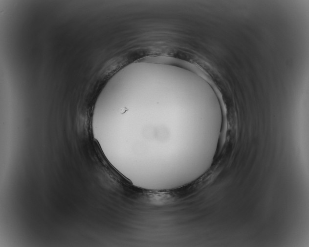 X0000083530333200703021559