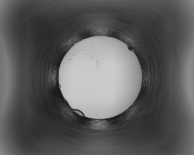 X0000083530334200703021559