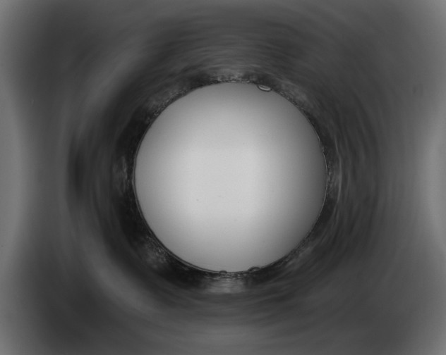 X0000083530335200703021559