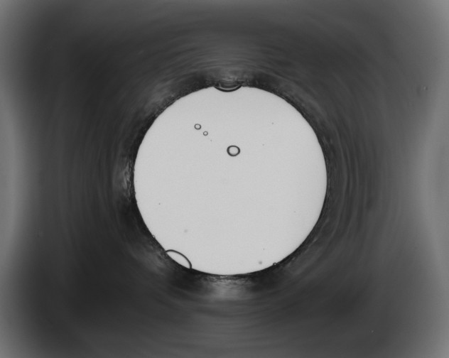 X0000083530336200703021559