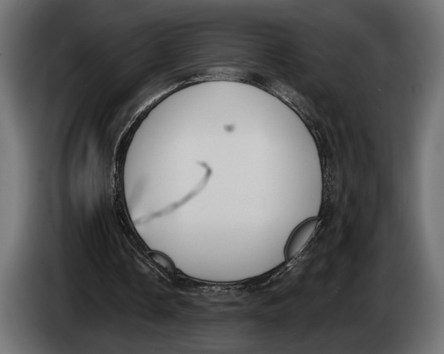 X0000083530338200703021558